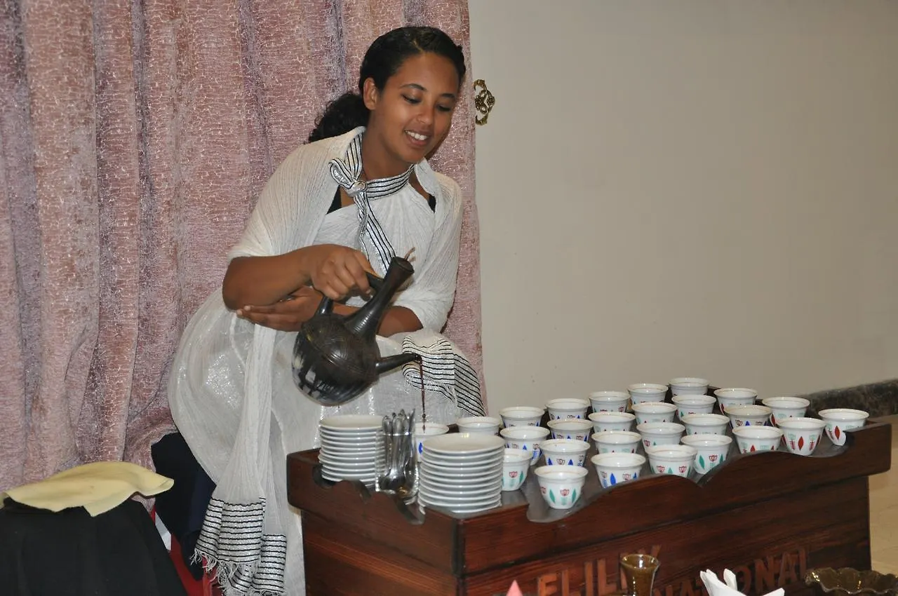 Elilly International Hotel Addis Ababa 5*,  Ethiopia